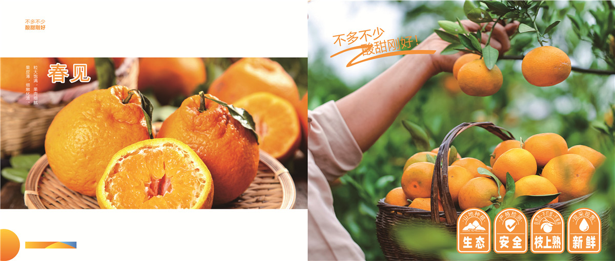 1639021442723585.jpg 24860a5584bdcad69d03ea608b3195b.jpg