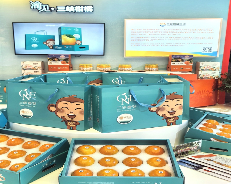 1715909292805291.png 圖片13.png