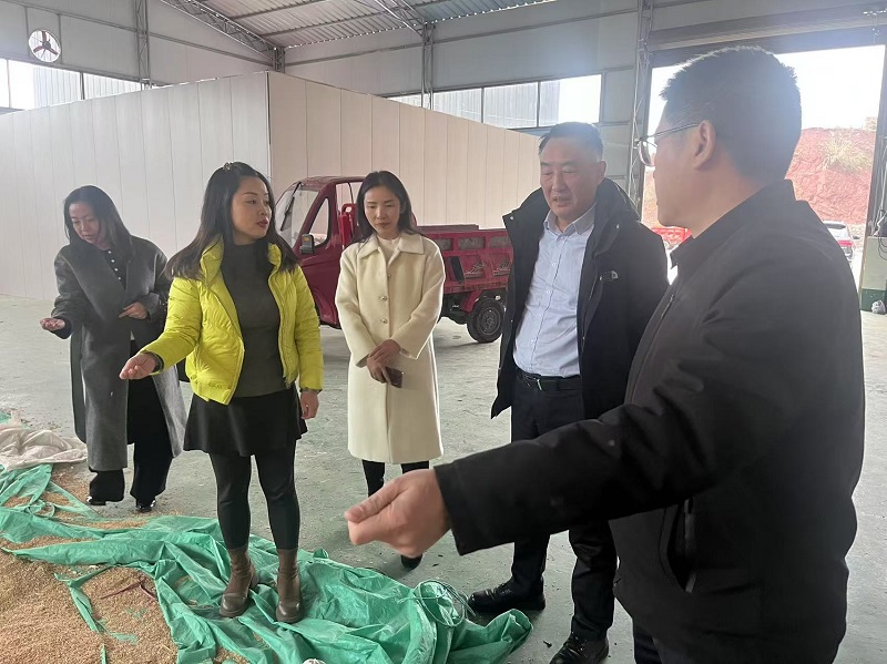 1740552799971920.jpg 微信圖片_20250226100640.jpg