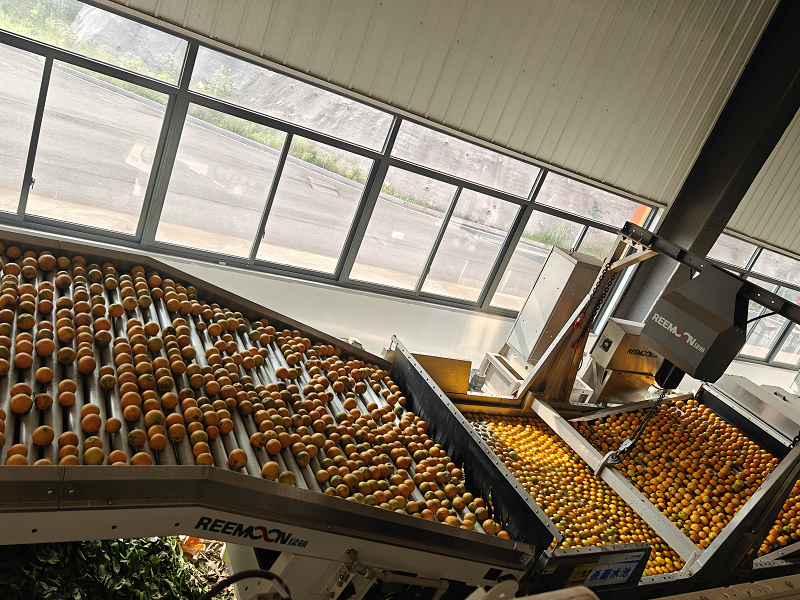 1747812456205089.png 圖片17.png